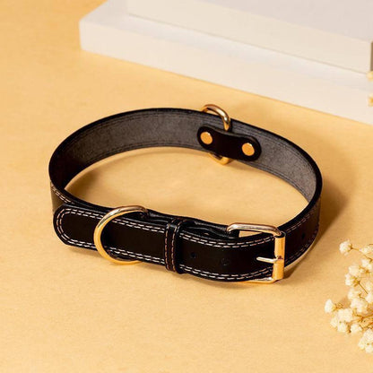 Leather Dog Collar - Western Cowboy Style - Pets Perfect