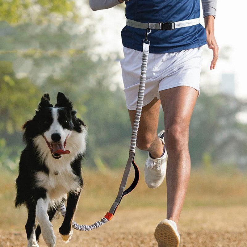 Ultimate Outdoor Adventure Dog Leash - Pets Perfect