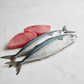 Weruva Mack and Jack with Mackerel and Grilled Skipjack in Gravy 3oz. (Case of 24) - Pets Perfect