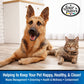 Four Paws WeeWee Housebreaking Aid Puppy Dog Potty Training Spray 1ea/8 oz - Pets Perfect