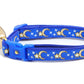 Gold Moons and Stars on Royal Blue Cat Collar - Pets Perfect
