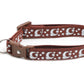 Silver Moons and Stars on Brown Cat Collar - Pets Perfect