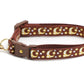 Gold Moons and Stars on Brown Cat Collar - Pets Perfect