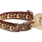 Gold Moons and Stars on Brown Cat Collar - Pets Perfect