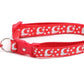 Silver Moons and Stars on Bright Red Cat Collar - Pets Perfect
