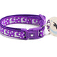 Silver Moons and Stars on Dark Purple Cat Collar - Pets Perfect