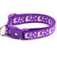 Silver Moons and Stars on Dark Purple Cat Collar - Pets Perfect