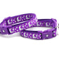 Silver Moons and Stars on Dark Purple Cat Collar - Pets Perfect