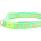 Gold Moons and Stars on Mint Green Cat Collar - Pets Perfect