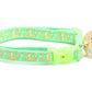 Gold Moons and Stars on Mint Green Cat Collar - Pets Perfect
