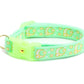 Gold Moons and Stars on Mint Green Cat Collar - Pets Perfect