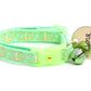 Gold Moons and Stars on Mint Green Cat Collar - Pets Perfect