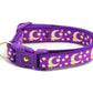 Gold Moons and Stars on Purple Cat Collar - Pets Perfect