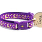 Gold Moons and Stars on Purple Cat Collar - Pets Perfect