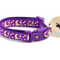 Gold Moons and Stars on Purple Cat Collar - Pets Perfect