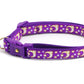 Gold Moons and Stars on Purple Cat Collar - Pets Perfect