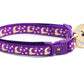 Gold Moons and Stars on Purple Cat Collar - Pets Perfect