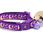 Gold Moons and Stars on Purple Cat Collar - Pets Perfect