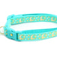 Gold Moons and Stars on Aqua V2 Cat Collar - Pets Perfect