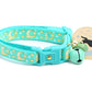 Gold Moons and Stars on Aqua V2 Cat Collar - Pets Perfect