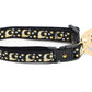 Gold Moons and Stars on Black V2 Cat Collar - Pets Perfect