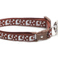Silver Moons and Stars on Brown Cat Collar - Pets Perfect