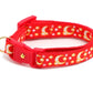 Gold Moons and Stars on Bright Red Cat Collar - Pets Perfect