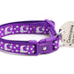 Silver Moons and Stars on Dark Purple Cat Collar - Pets Perfect