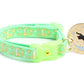 Gold Moons and Stars on Mint Green Cat Collar - Pets Perfect