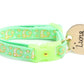 Gold Moons and Stars on Mint Green Cat Collar - Pets Perfect