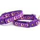 Gold Moons and Stars on Purple Cat Collar - Pets Perfect
