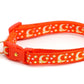 Gold Moons and Stars on Orange Cat Collar - Pets Perfect