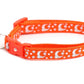 Silver Moons and Stars on Orange Cat Collar - Pets Perfect