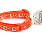 Silver Moons and Stars on Orange Cat Collar - Pets Perfect