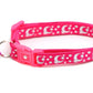Silver Moons and Stars on Hot Pink Cat Collar - Pets Perfect