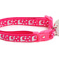 Silver Moons and Stars on Hot Pink Cat Collar - Pets Perfect