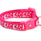 Silver Moons and Stars on Hot Pink Cat Collar - Pets Perfect