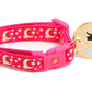 Gold Moons and Stars on Hot Pink Cat Collar - Pets Perfect