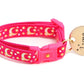 Gold Moons and Stars on Hot Pink Cat Collar - Pets Perfect