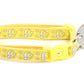 Silver Moons and Stars on Yellow Cat Collar - Pets Perfect