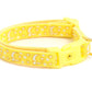 Gold Moons and Stars on Yellow Cat Collar - Pets Perfect