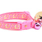 Gold Moons and Stars on Peony Pink Cat Collar - Pets Perfect