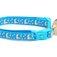 Gold Moons and Stars on Peacock Blue Cat Collar - Pets Perfect