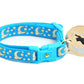 Gold Moons and Stars on Peacock Blue Cat Collar - Pets Perfect