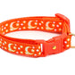Gold Moons and Stars on Orange Cat Collar - Pets Perfect