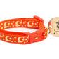 Gold Moons and Stars on Orange Cat Collar - Pets Perfect