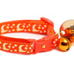 Gold Moons and Stars on Orange Cat Collar - Pets Perfect