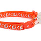 Silver Moons and Stars on Orange Cat Collar - Pets Perfect
