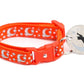 Silver Moons and Stars on Orange Cat Collar - Pets Perfect