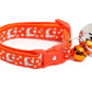 Silver Moons and Stars on Orange Cat Collar - Pets Perfect